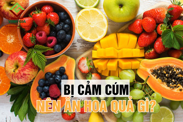 Những loại hoa quả vừa ngon vừa tốt cho người bị cúm và rẻ.