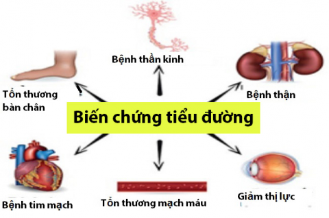 bien-chung-cua-dai-thao-duong