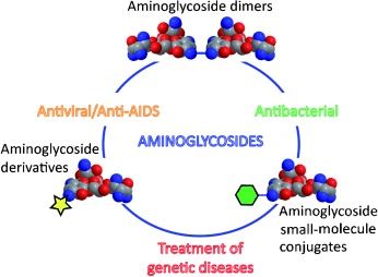 aminoglycosides