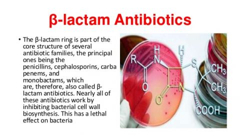 beta-lactam