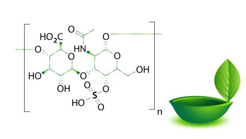 chondroitin-sulfate