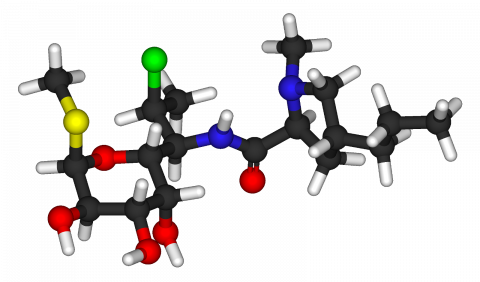 clindamycin