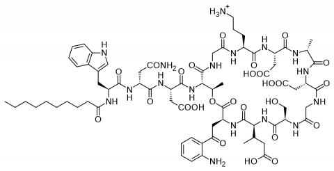 daptomycin
