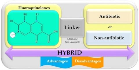 fluoroquinolones