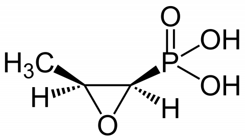 fosfomycin
