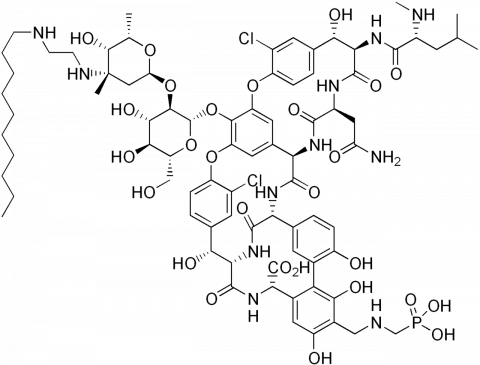 lipoglycopeptide