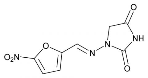 nitrofurantoin