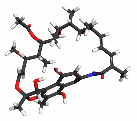 rifamycins