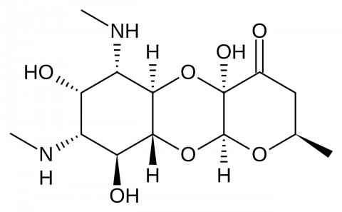 spectinomycin