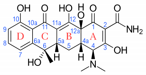 tetracyclines