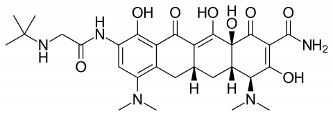 tigecycline