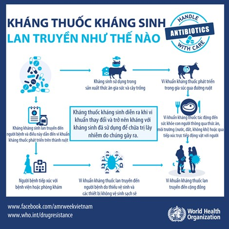 tong-quan-ve-thuoc-khang-sinh