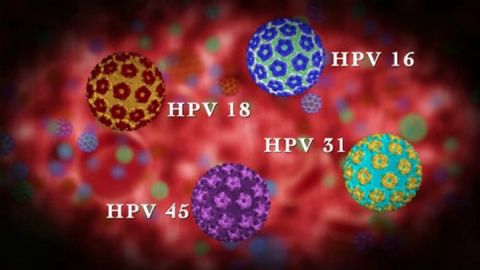 vac-xin-human-papillomavirus-hpv