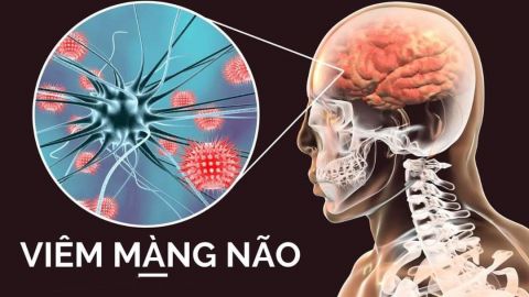 vac-xin-viem-mang-nao-cau-khuan