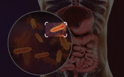 viem-da-day-ruot-do-e-coli