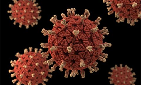 viem-da-day-ruot-do-rotavirus