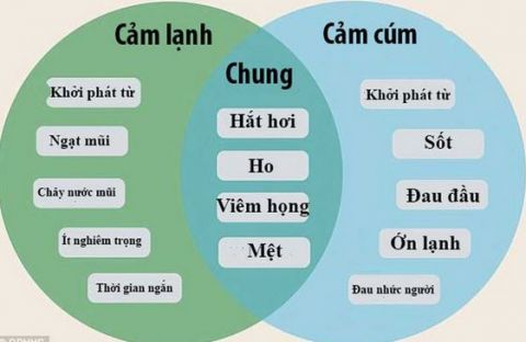 cam-lanh-thong-thuong