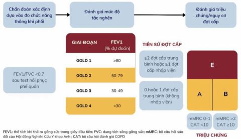 dieu-tri-copd-on-dinh