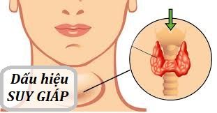 suy-giap