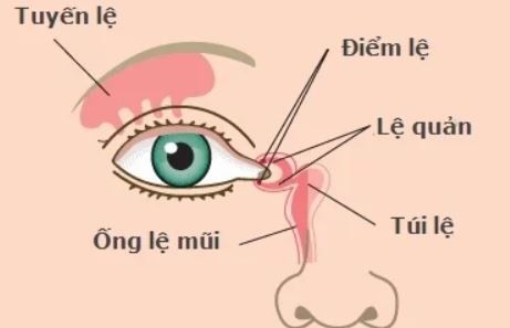 viem-le-quan