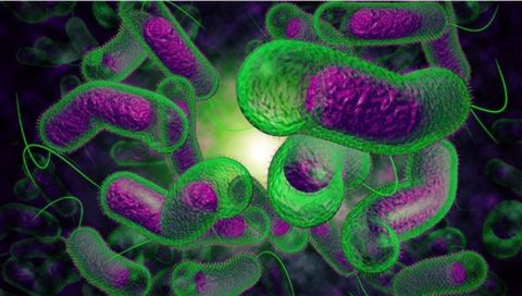 nhiem-trung-khong-do-vibrio-cholera